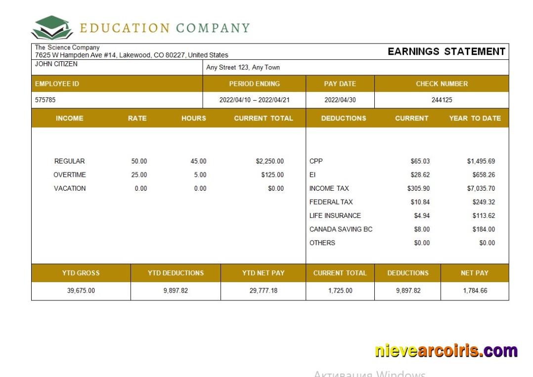 Education company fully editable payslip